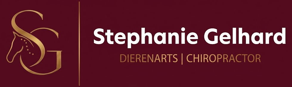 Stephanie Gelhard, dierenarts & chiropractor voor paarden en honden